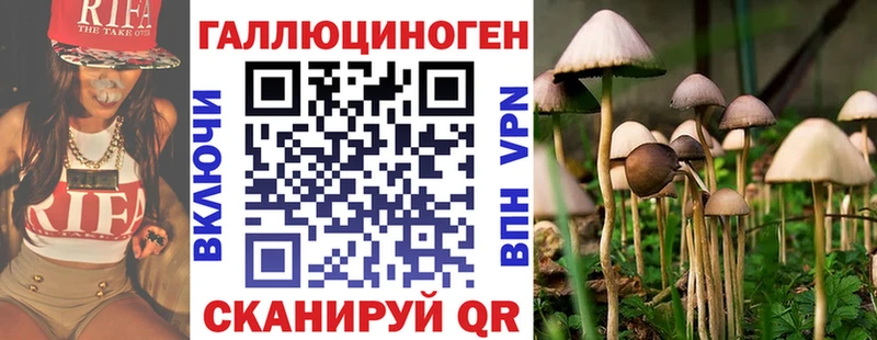 Псилоцибиновые грибы ЛСД  Камбарка 