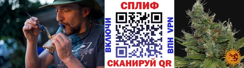 ОМГ ОМГ ссылка  дарнет шоп  Камбарка  МАРИХУАНА планчик 
